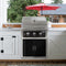 WILDFIRE OUTDOOR LIVING Ranch Pro 304 Stainless Steel Natural Gas Grill, 30" (WF-PRO30G-RH-NG) Demonstration View