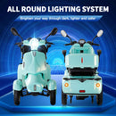 Zvg Heavy-Duty 800W 60V/20AH Four Wheel All-Terrain Travel Mobility Scooter For Adults And Seniors, 500LB (SAK97156) - Saksby Wholesale - Lighting System